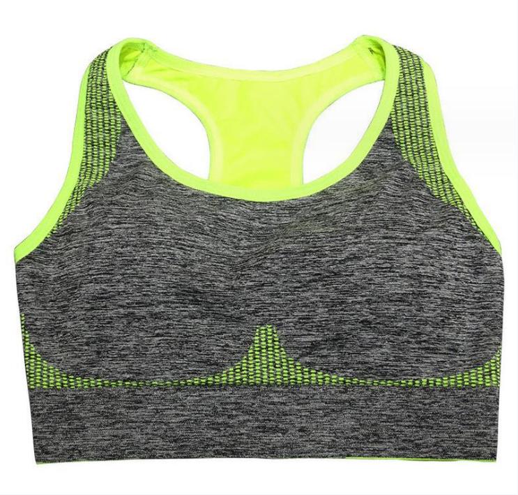 Sports Bra 220